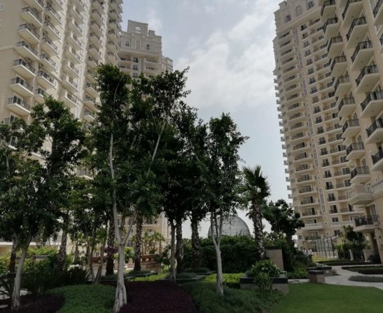 Ace Golfshire Gallery 5