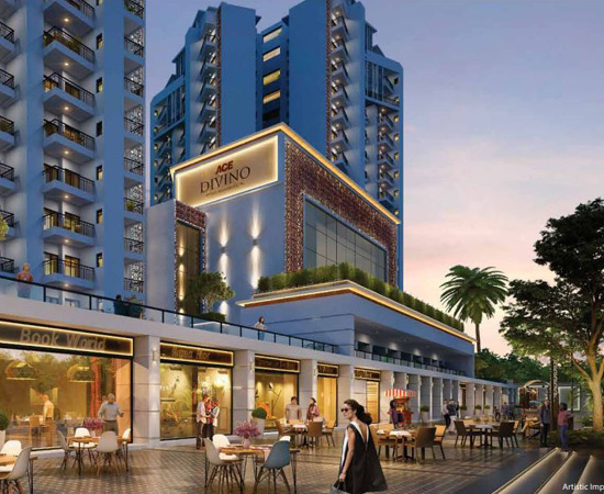 Ace Divino Gallery3