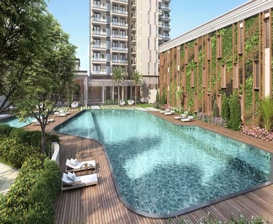 Ace Starlit Gallery3