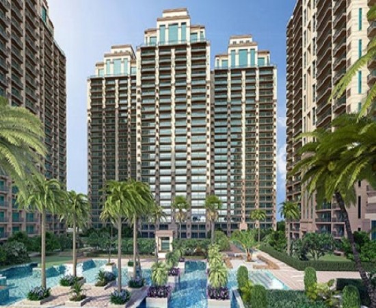 Ace Starlit Gallery7