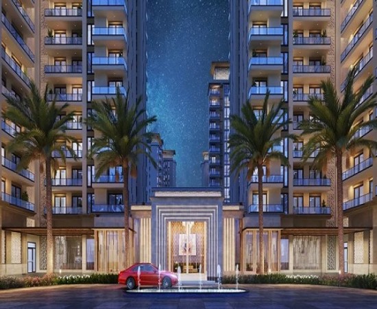 Ace Starlit Gallery8