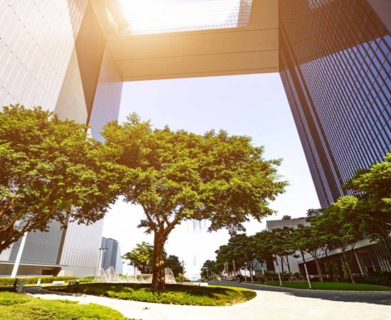 Bhutani Cyber Park  Gallery 3