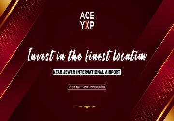 ACE YXP